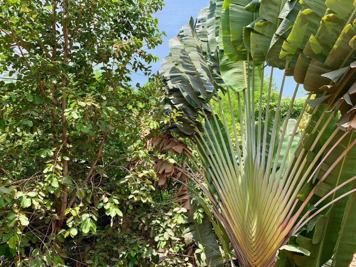 Petit Villa Boutique & Spa Siem Reap Exterior photo